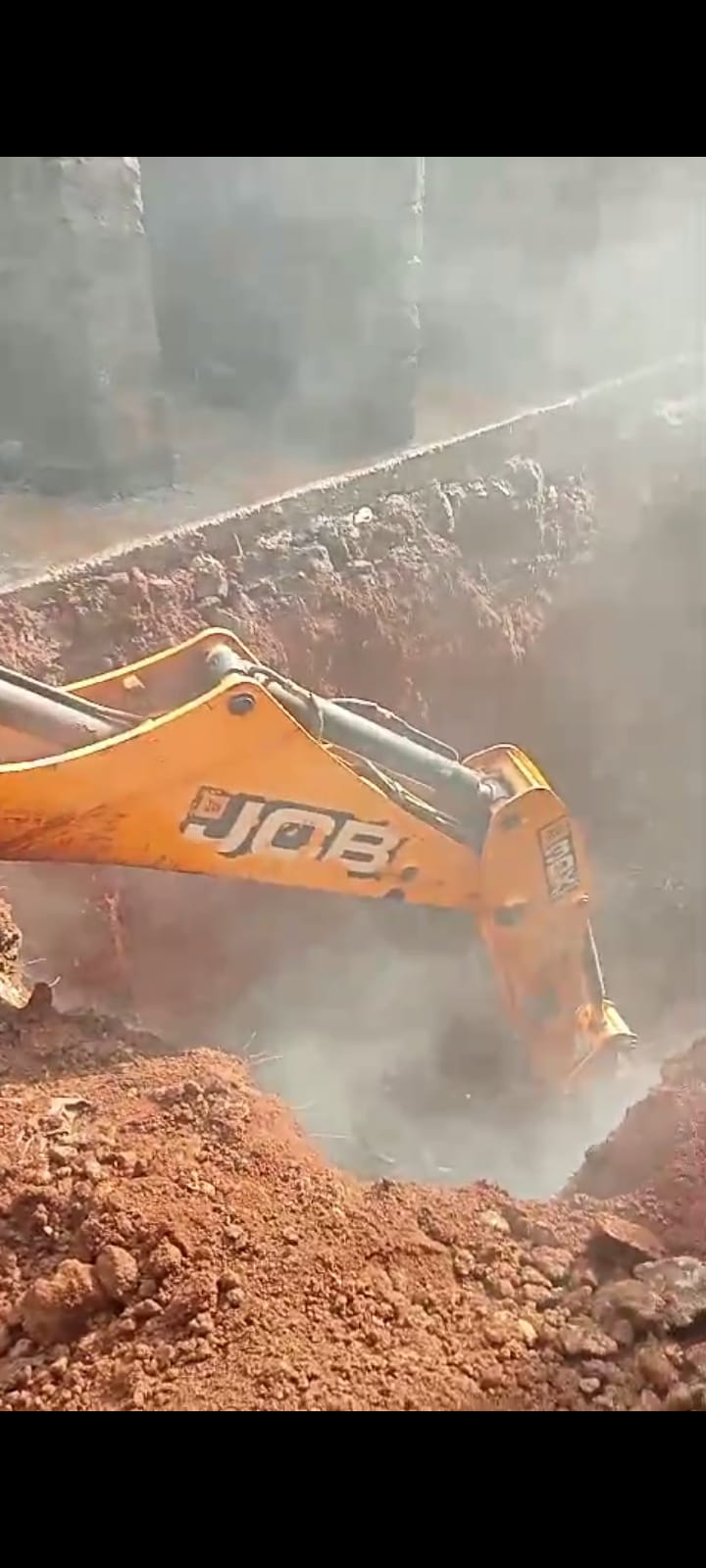 JCB Week 13 Activities